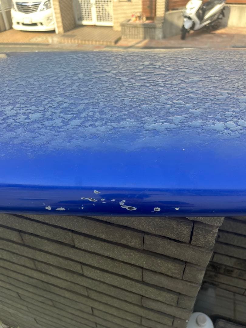 LOST ラウンドノーズフィッシュ　AVISO カーボン