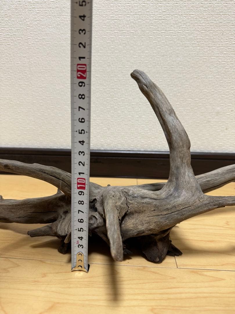 アクアリウム　熱帯魚　レイアウト　流木