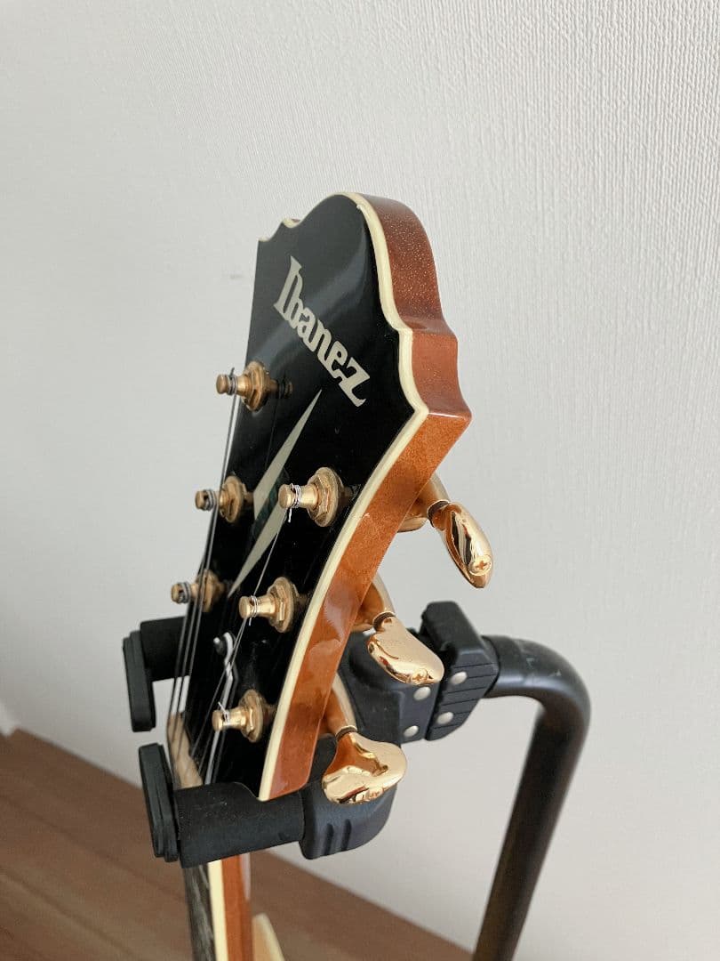 Ibanez PM120 Pat Metheny Signature フルアコ