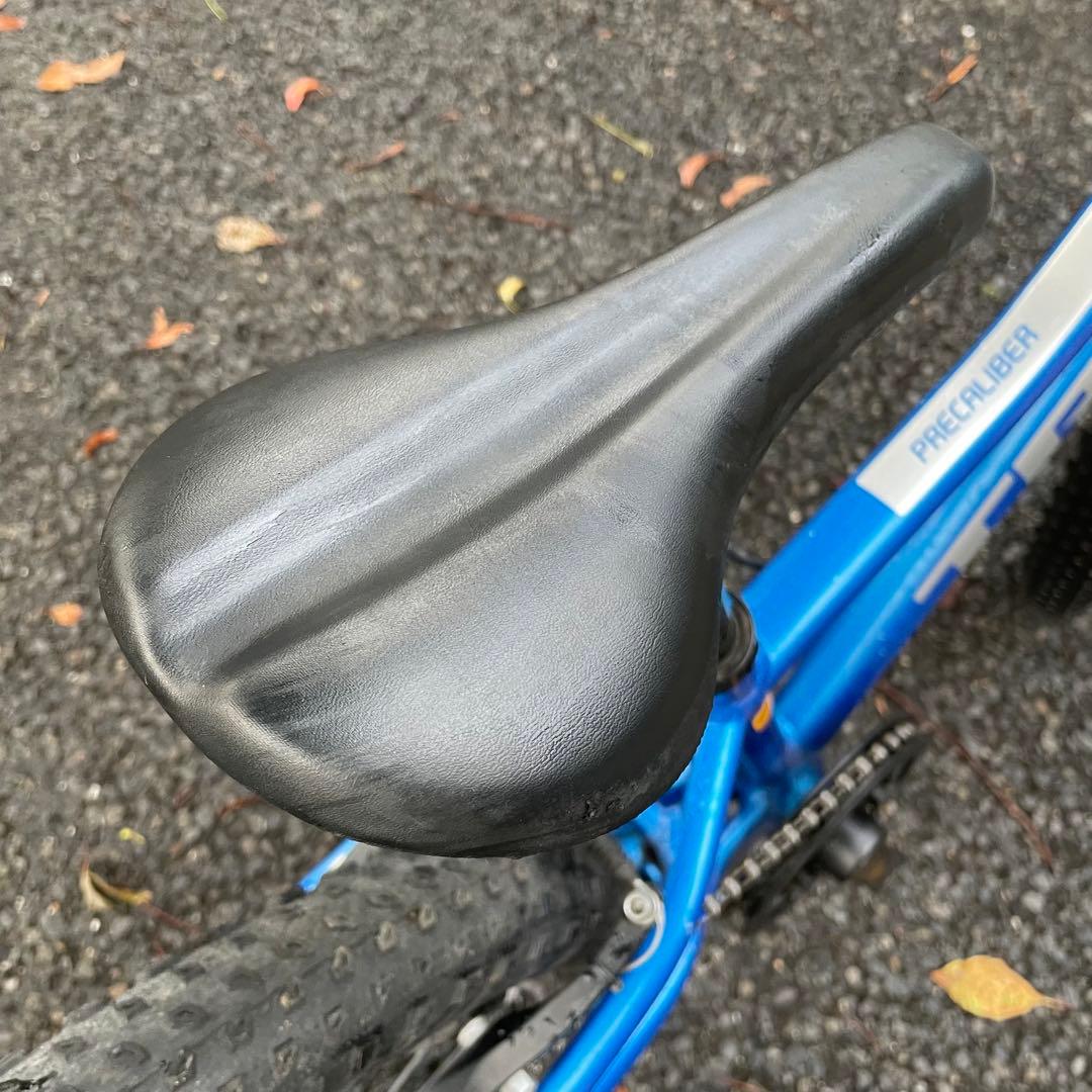 みさ　20インチ Precaliber 身長114-132cm ブルー