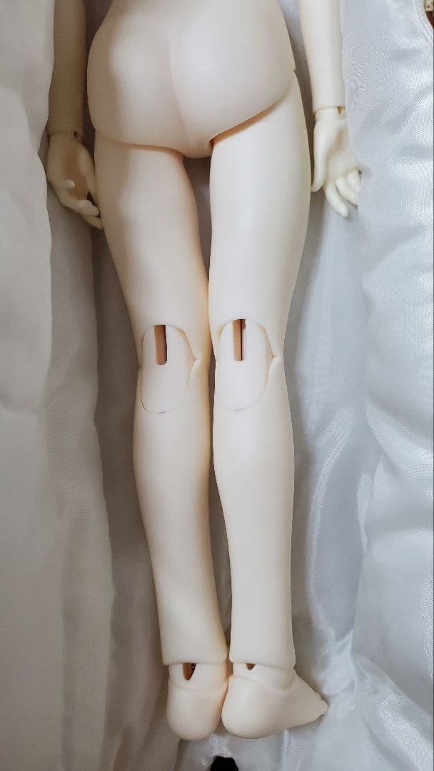 ｄｏｌｋ ４０／４５ｂｏｄｙ