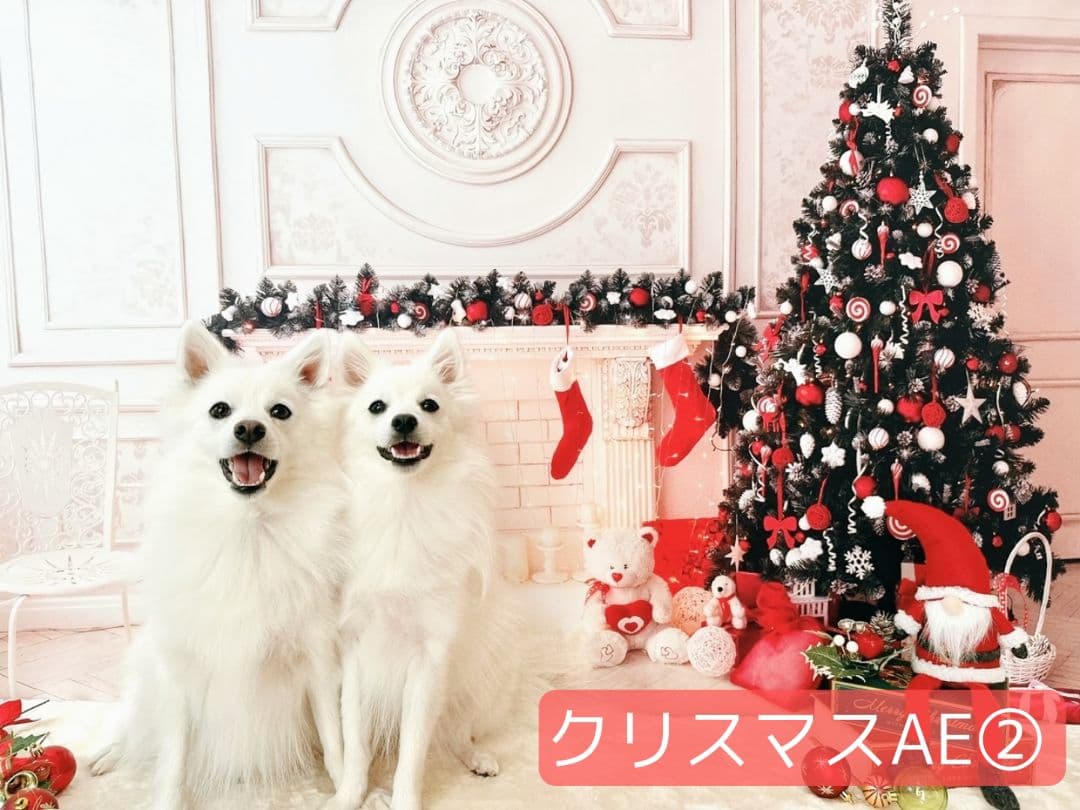 業務用トリミングチョーカー+背景布　クリスマスツリー　ペットサロン　雪　犬