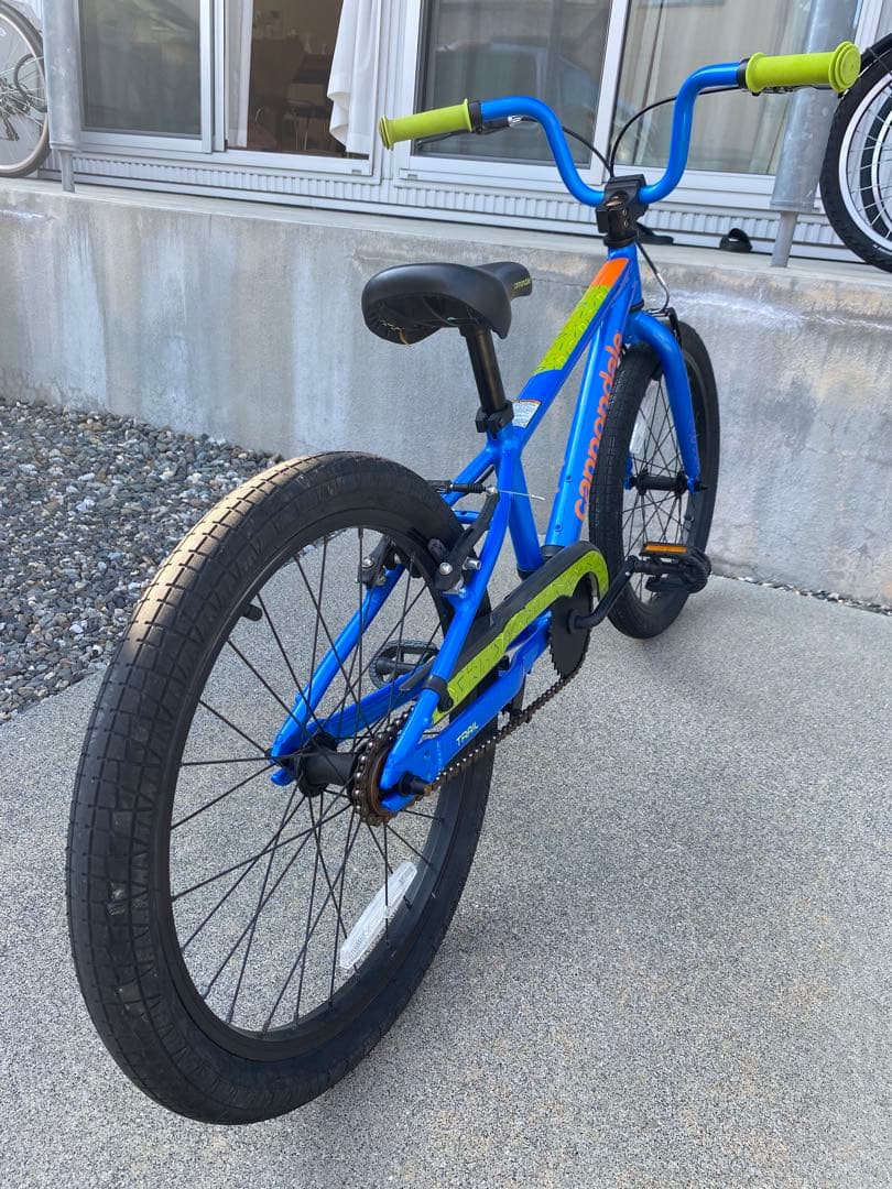 子供　キャノンデール　Cannondale フリーホイール　20インチ