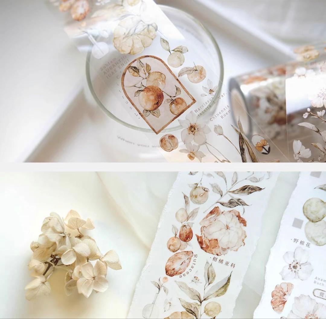 ⭐️SALE⭐️ 雀斑茶《橘枳》海外マスキングテープ　マステ 【1336】