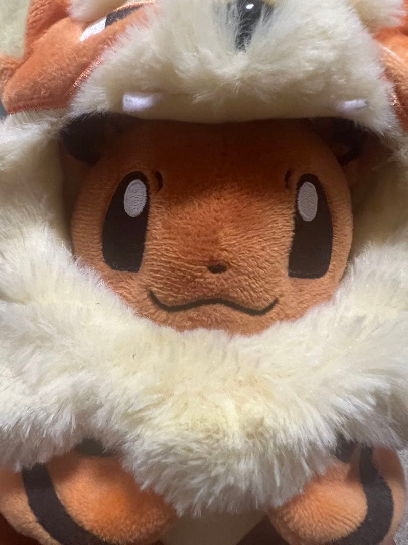 ウィンディポンチョのイーブイぬいぐるみ　沖縄限定　ポケモンセンター