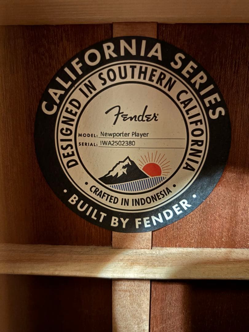 Fender Newporter Player アコースティックギター