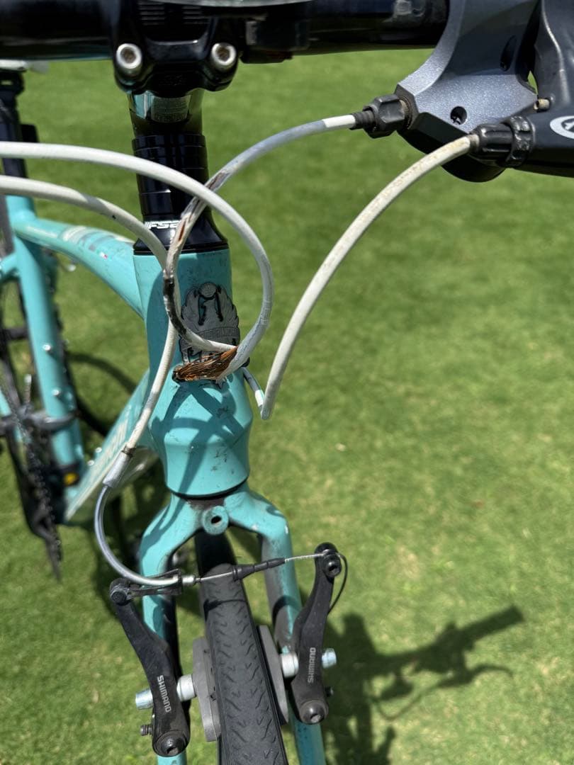 Bianchi ローマ3 クロスバイク