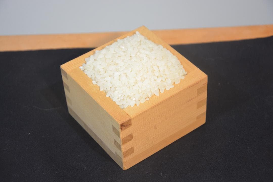 2025年　朝日米5kg白米　たけ爺ブランド米 栽培期間中無化学肥料・無農薬栽培