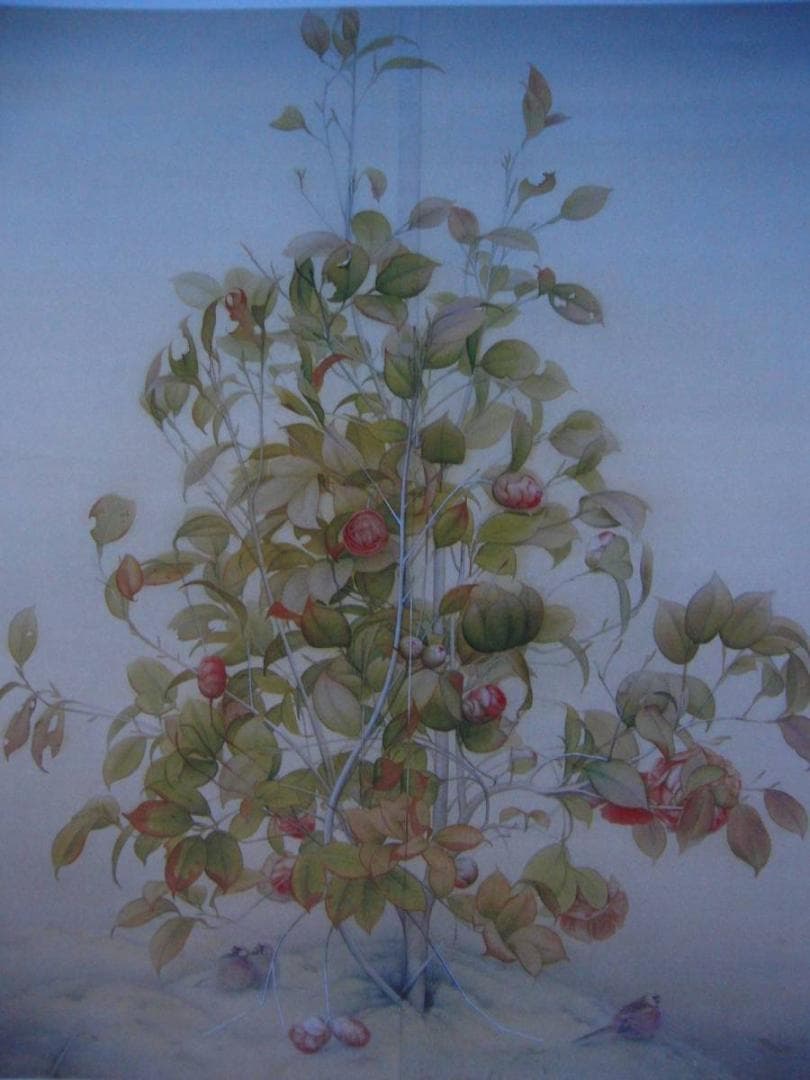 上村松篁 【椿】 高級画集画、状態良好、新品高級額装付、送料無料