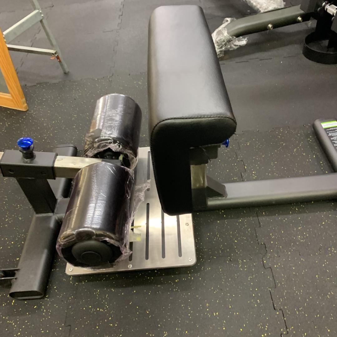 シッシースクワットマシーン