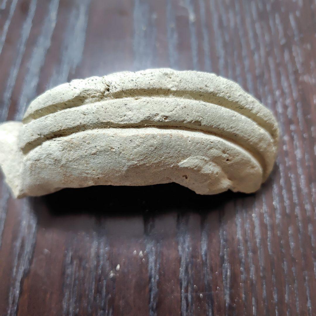 曲線的な形状の古瓦の化石