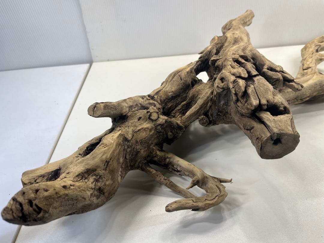 V24特大流木 アク抜き済み流木 爬虫類シェルター 登り木 インテリア 生け花