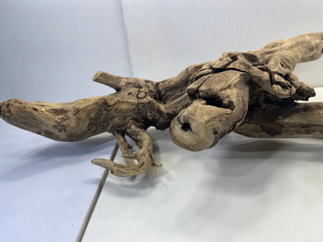 V24特大流木 アク抜き済み流木 爬虫類シェルター 登り木 インテリア 生け花