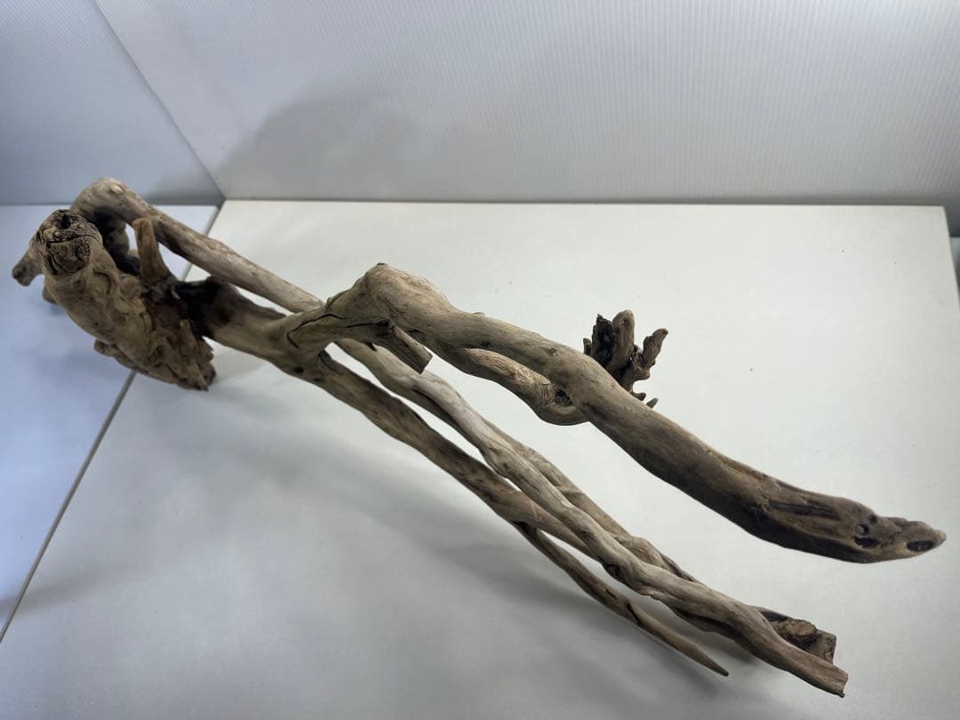 V24特大流木 アク抜き済み流木 爬虫類シェルター 登り木 インテリア 生け花