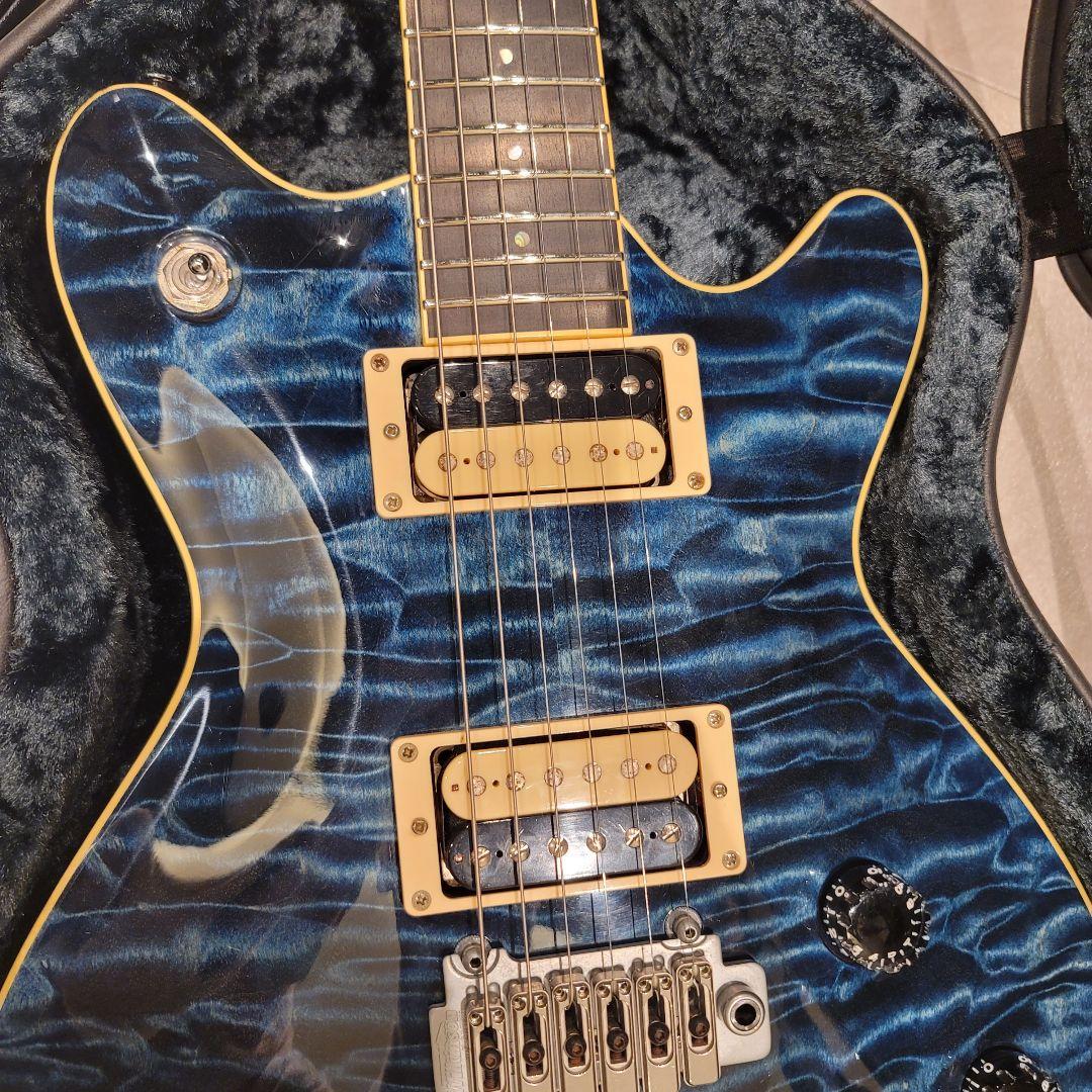 ぽちT's guitars Arc-STD 5A Quilt maple