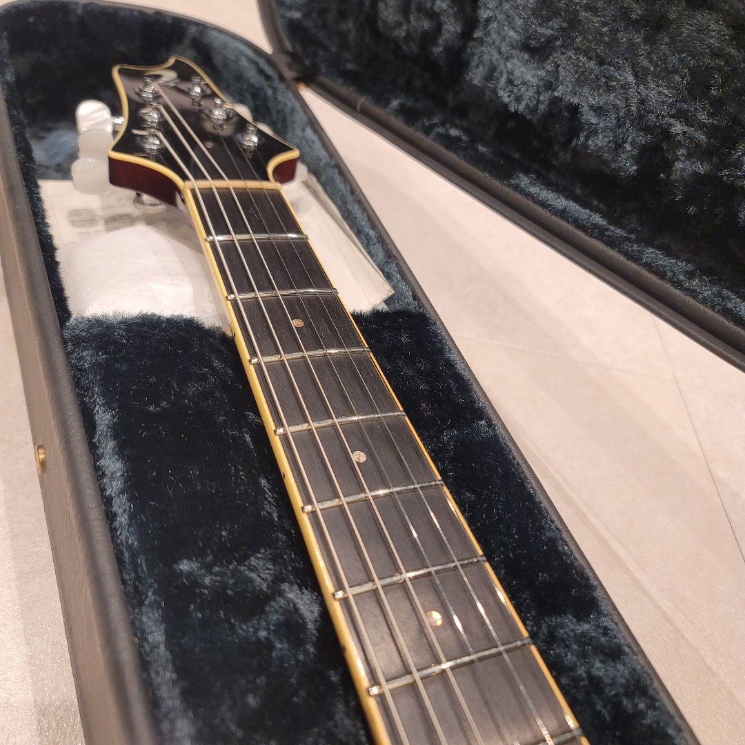 ぽちT's guitars Arc-STD 5A Quilt maple