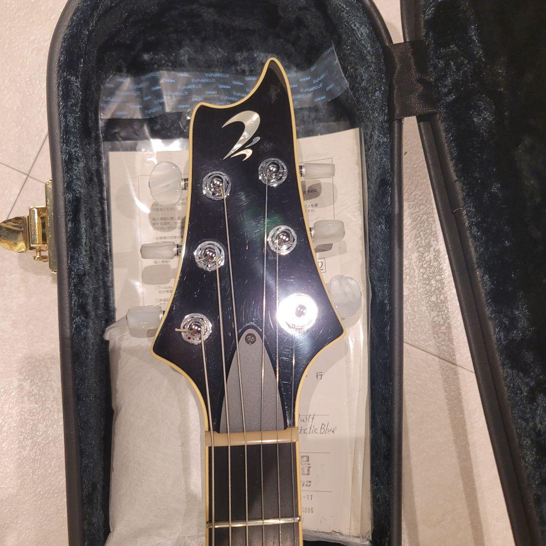 ぽちT's guitars Arc-STD 5A Quilt maple