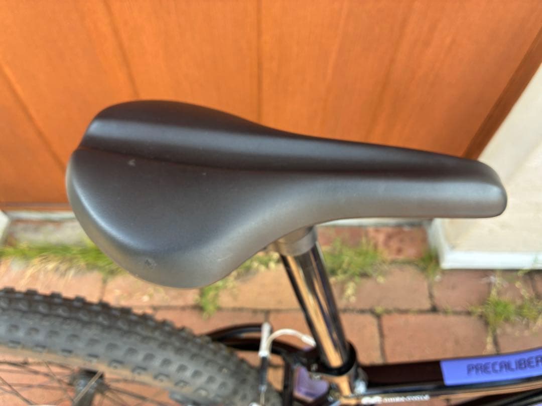 Trek Precaliber 20インチ 黒