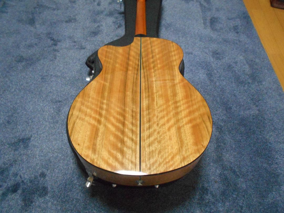 ギター PRS SE A15AL-Alex Lifeson Thinline