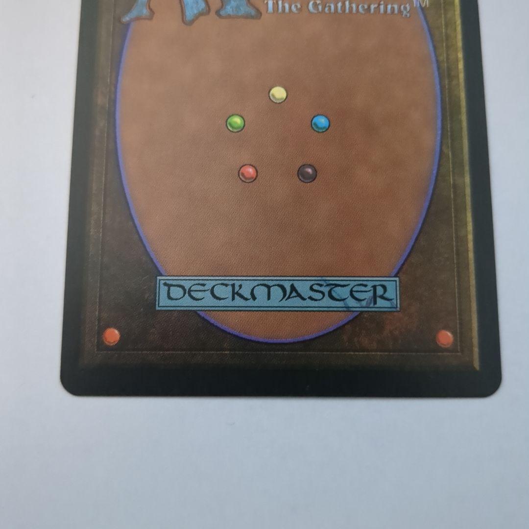 MTG 適者生存　日本語版1枚