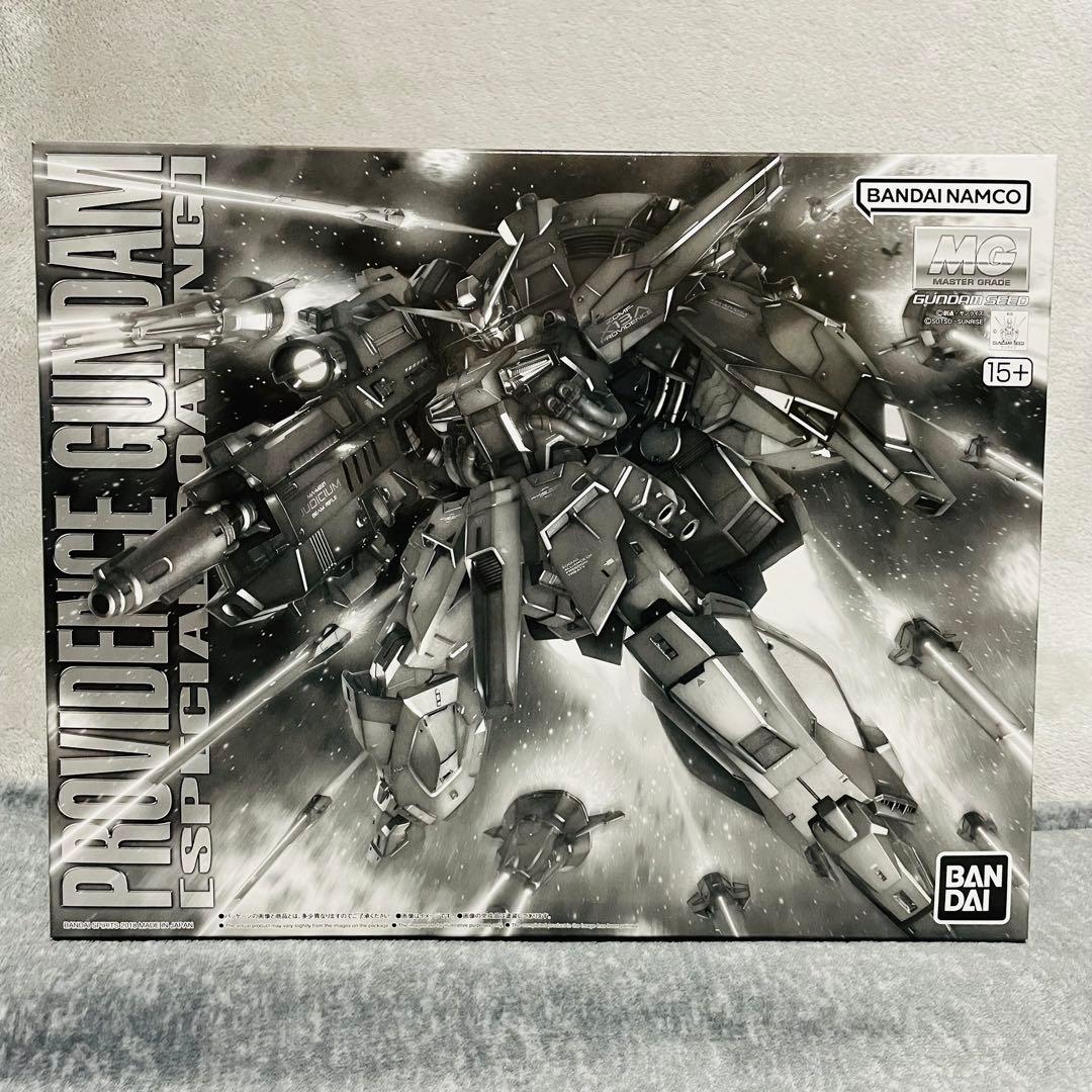 【新品未開封】1/100 MG ZGMF-X13A プロヴィデンスガンダム