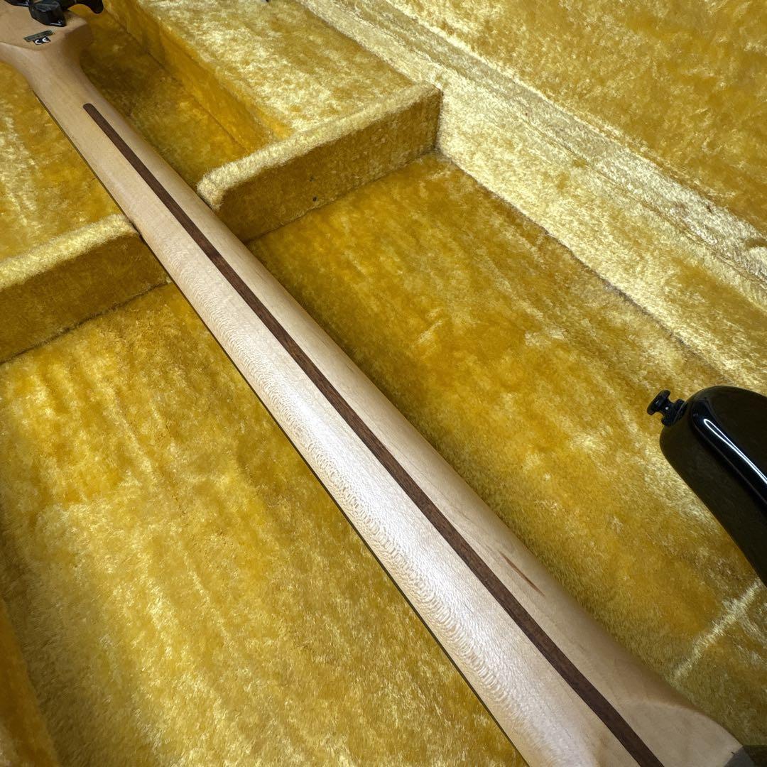 フジゲン　anboyベース