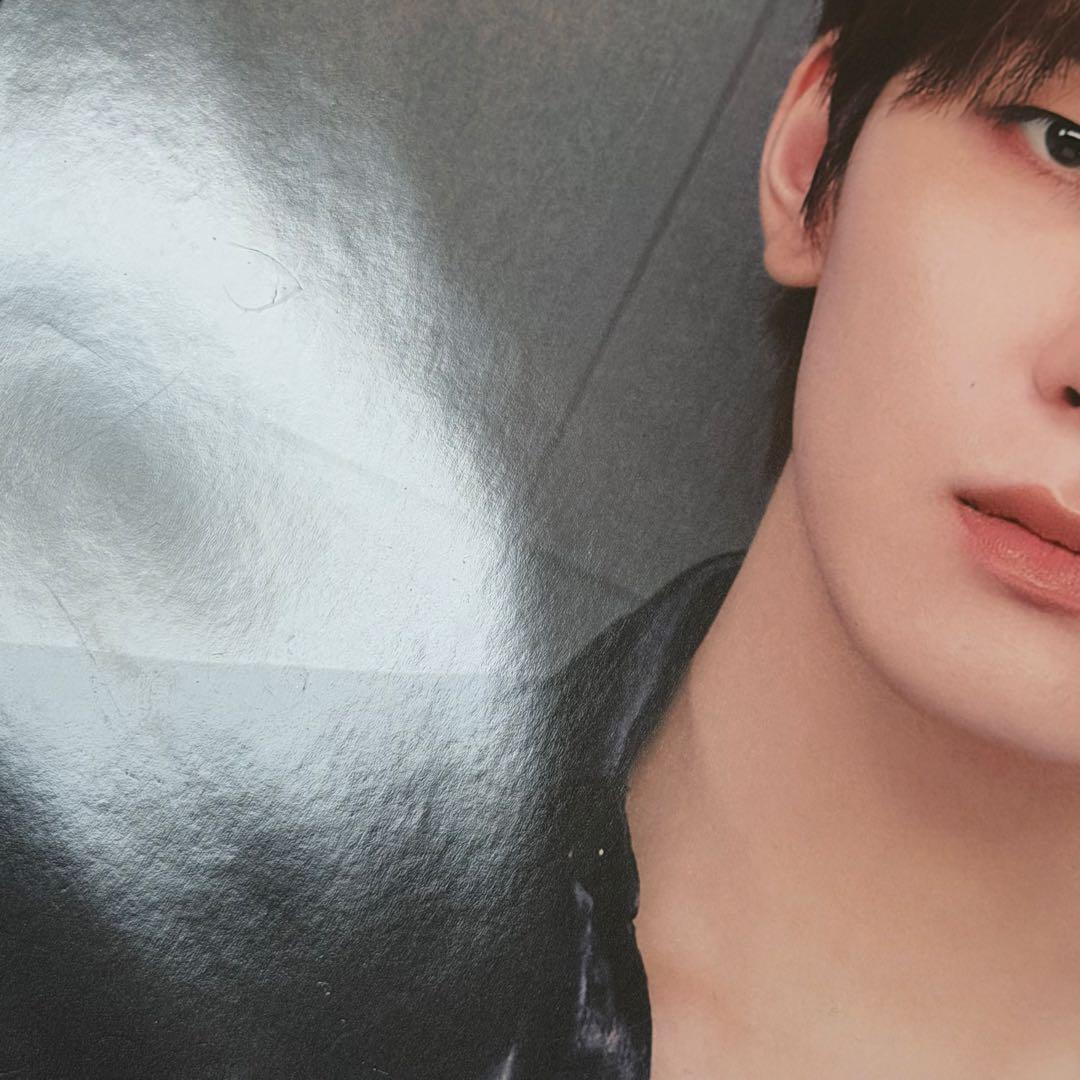 SEVENTEEN ウォヌ ミンギュ ディノ うちわ まとめ売り