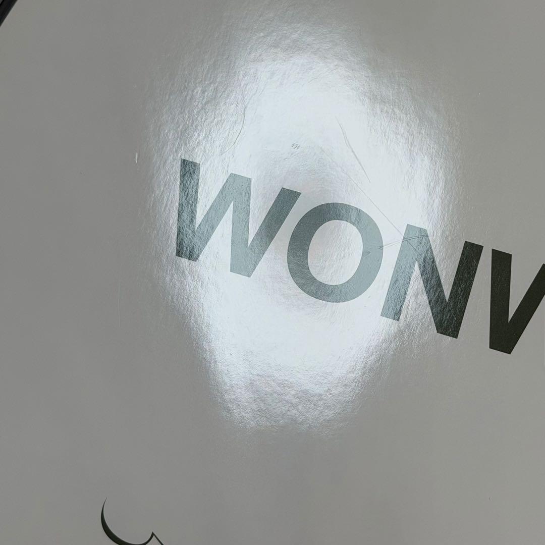 SEVENTEEN ウォヌ ミンギュ ディノ うちわ まとめ売り