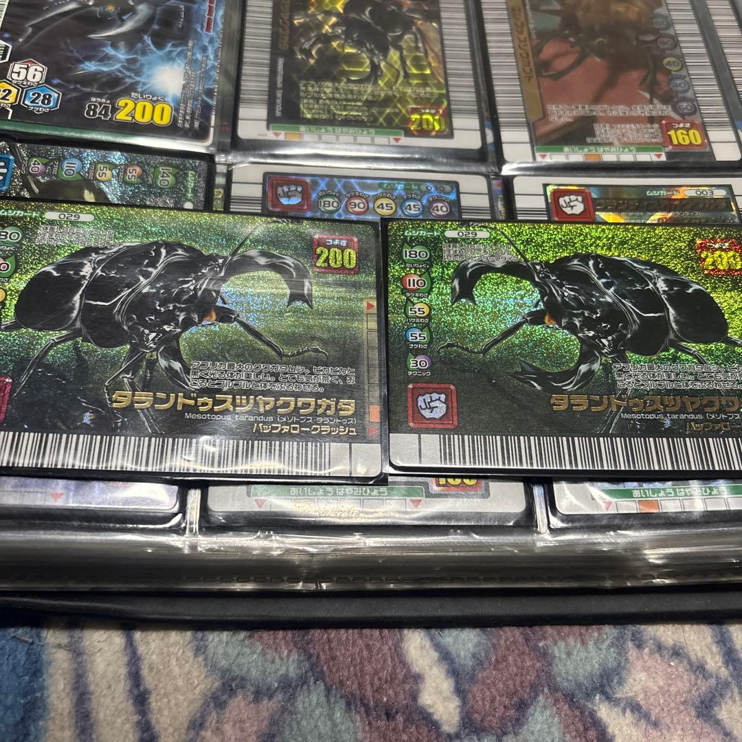 ムシキング　カード