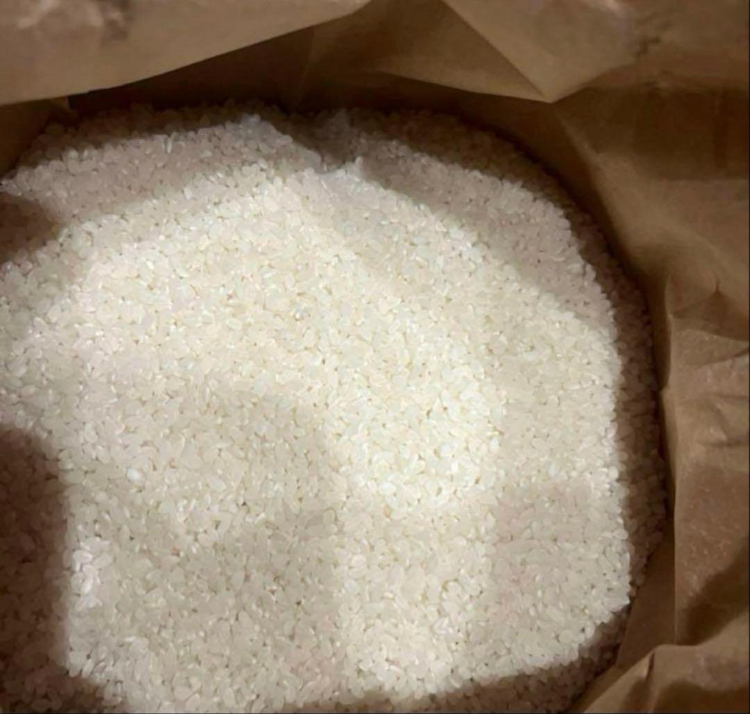 白米 クラフト紙袋入り　10キロ　新米　令和7年度