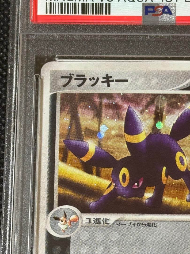 ブラッキー ホロPSA10 マグマVSアクア 1stエディション 1ed