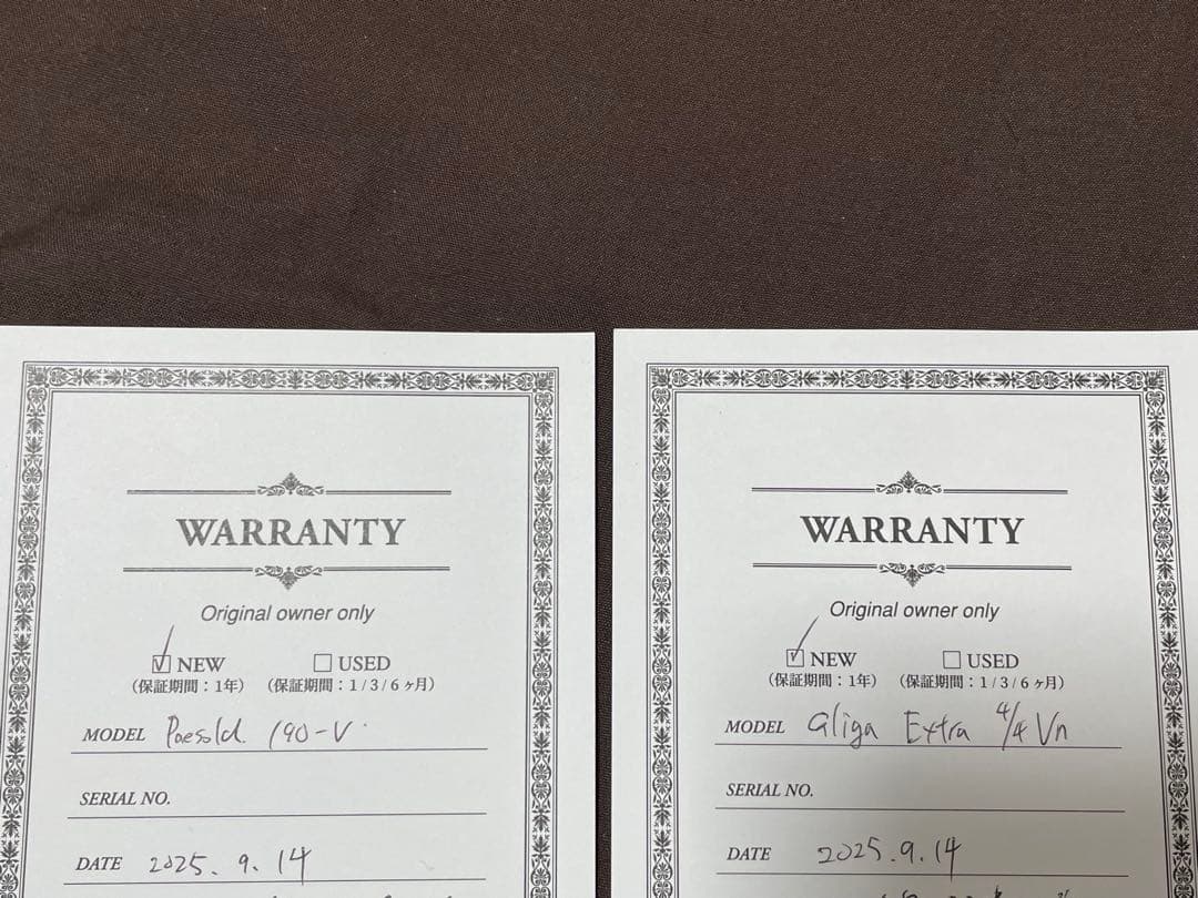 【未使用】Gliga Extra／PA190V／カーボンマック／肩当／保証書付き