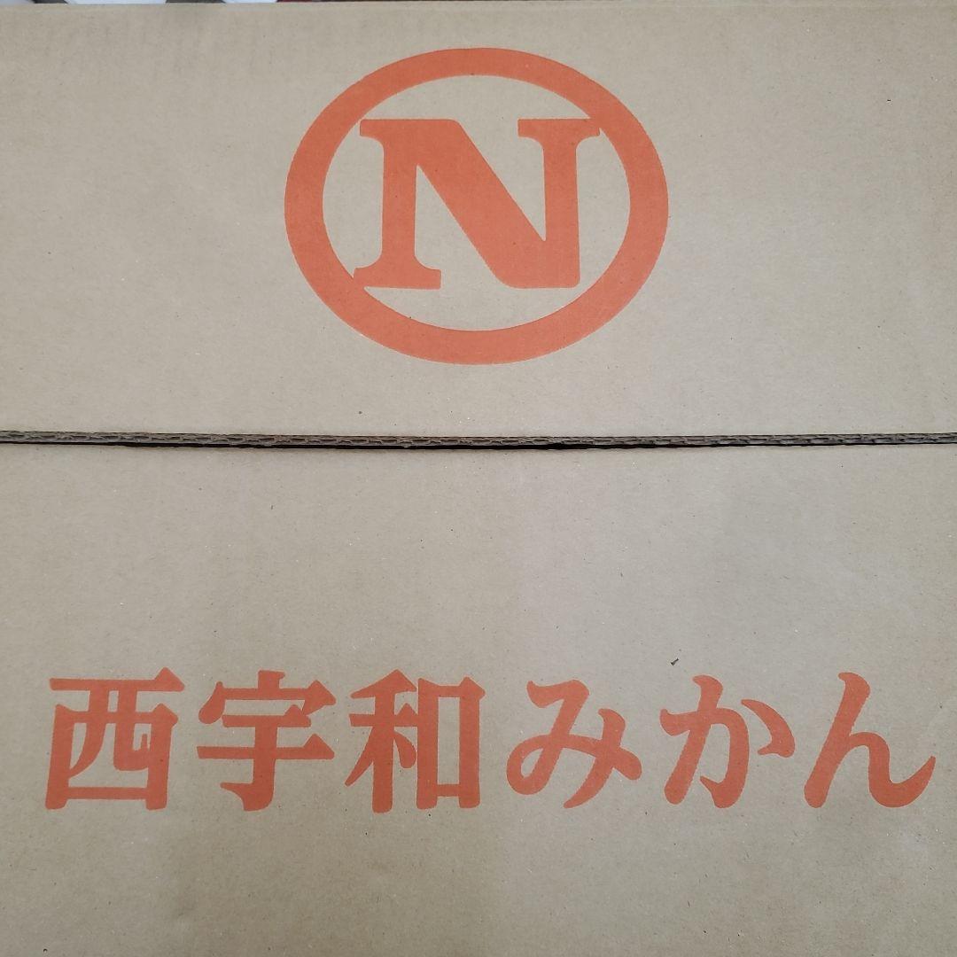0️⃣0️⃣ 愛媛県産 真穴みかん Sサイズ 箱込み１０キロ②