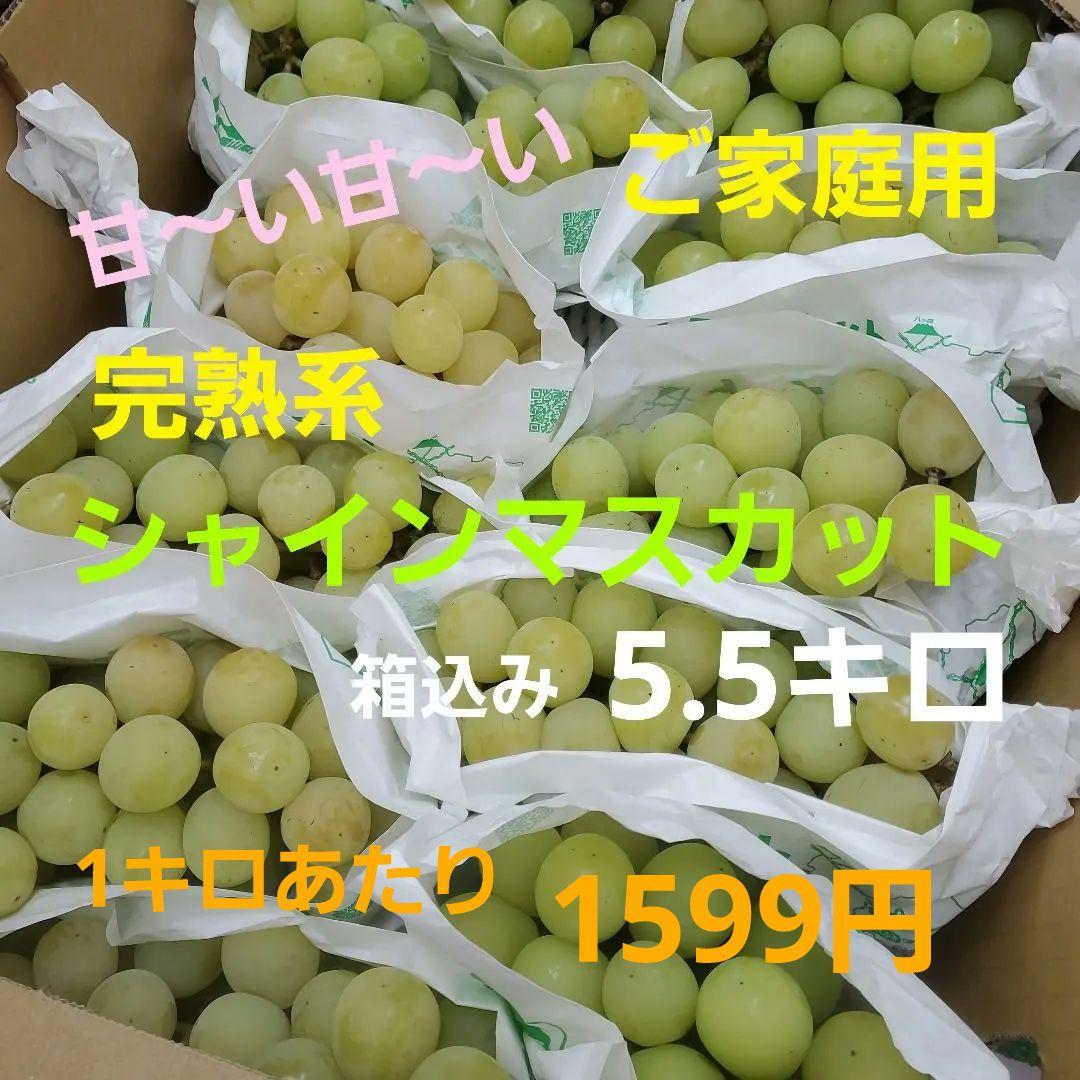5️⃣ 山梨県産 シャインマスカット １２房 箱込み5.5キロ