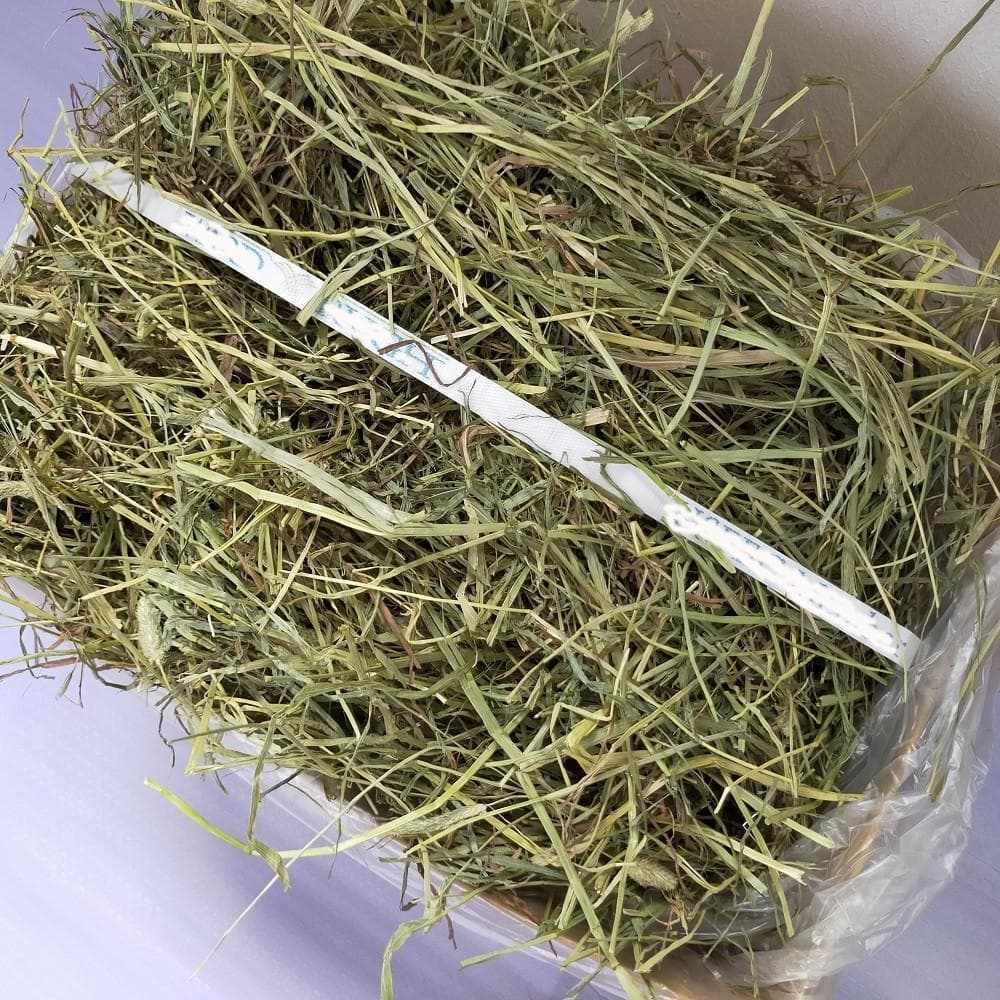 【11/30まで】US産 チモシー 50kg ２番刈り ソフトSプレミアム