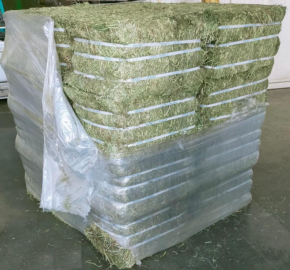 【11/30まで】US産 チモシー 50kg ２番刈り ソフトSプレミアム