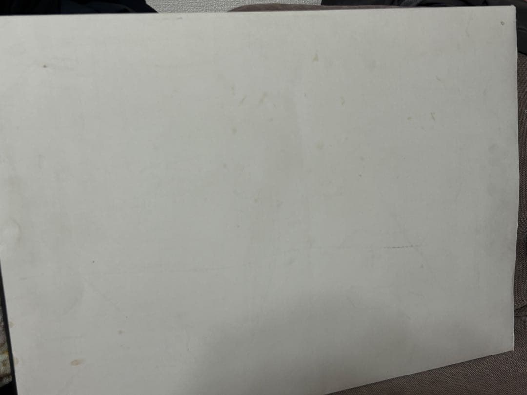 アイルトン・セナ メモリアルコレクション10周年記念 ポートレイト 24枚セット