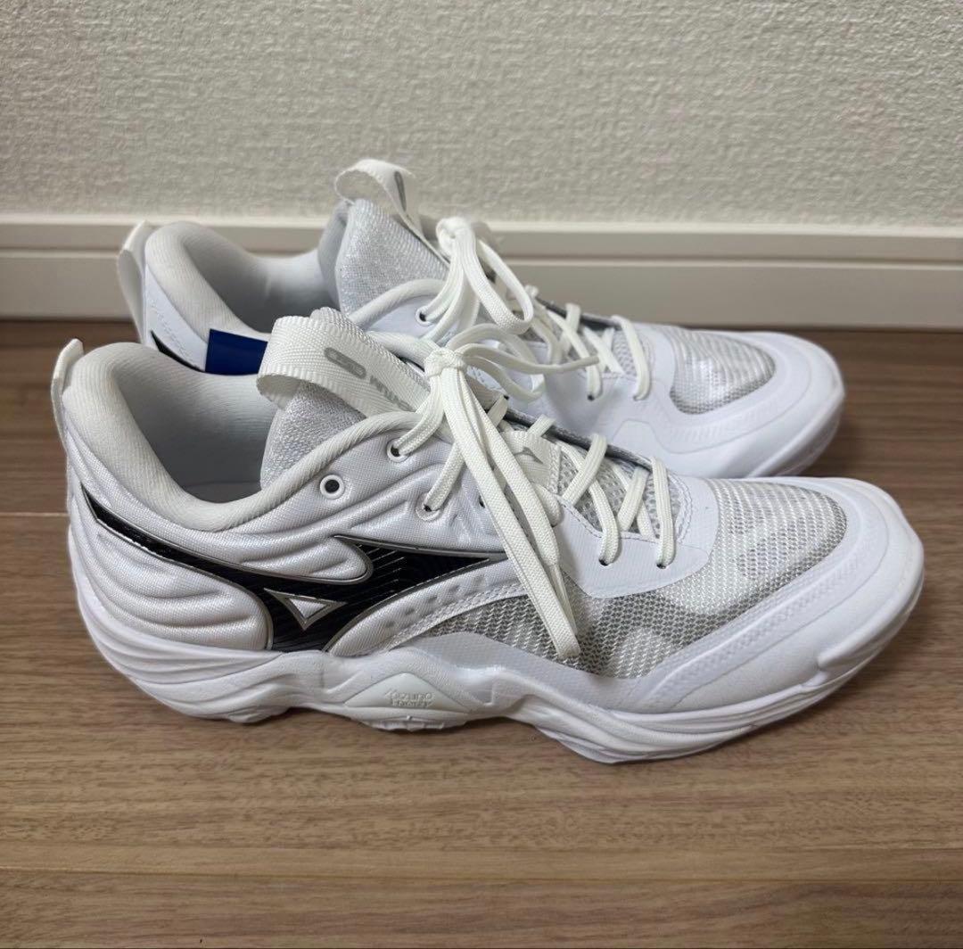 ミズノ　ウェーブモーメンタム　エリート　26cm