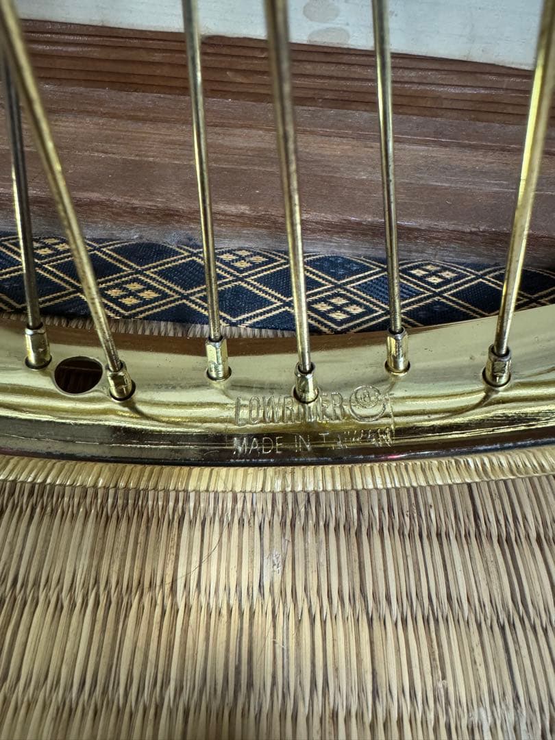 ローチャリ　LOWRIDER 20インチゴールド72本スポーク　フロント用