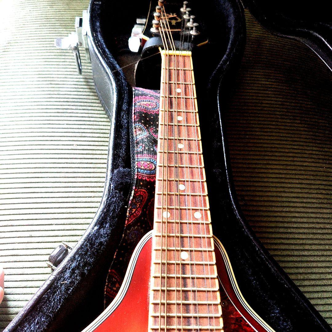 MOUNTEREY エレキマンドリン MME-203