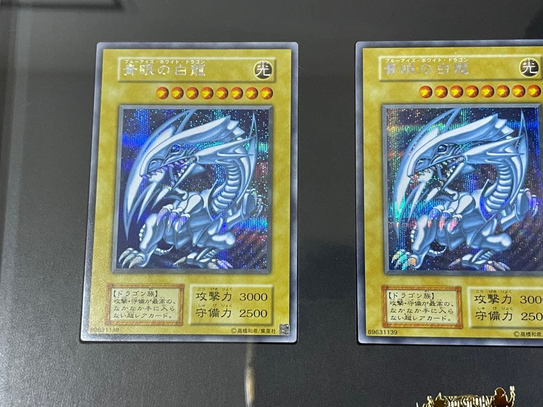 海馬セット　シクブル　3枚セット　ディスプレイケース付き