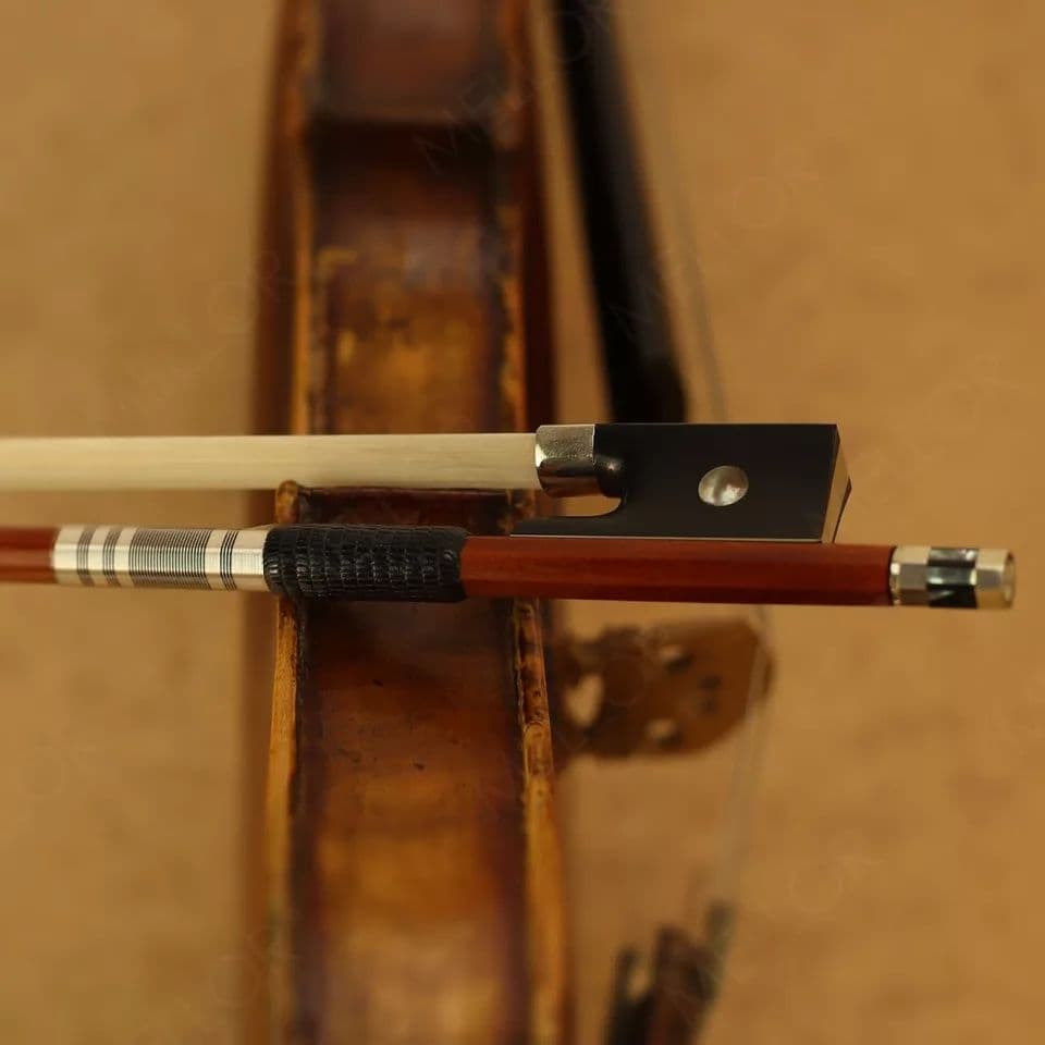 Pygmalius ピグマリウス バイオリン dv-120 Size4/4 　B