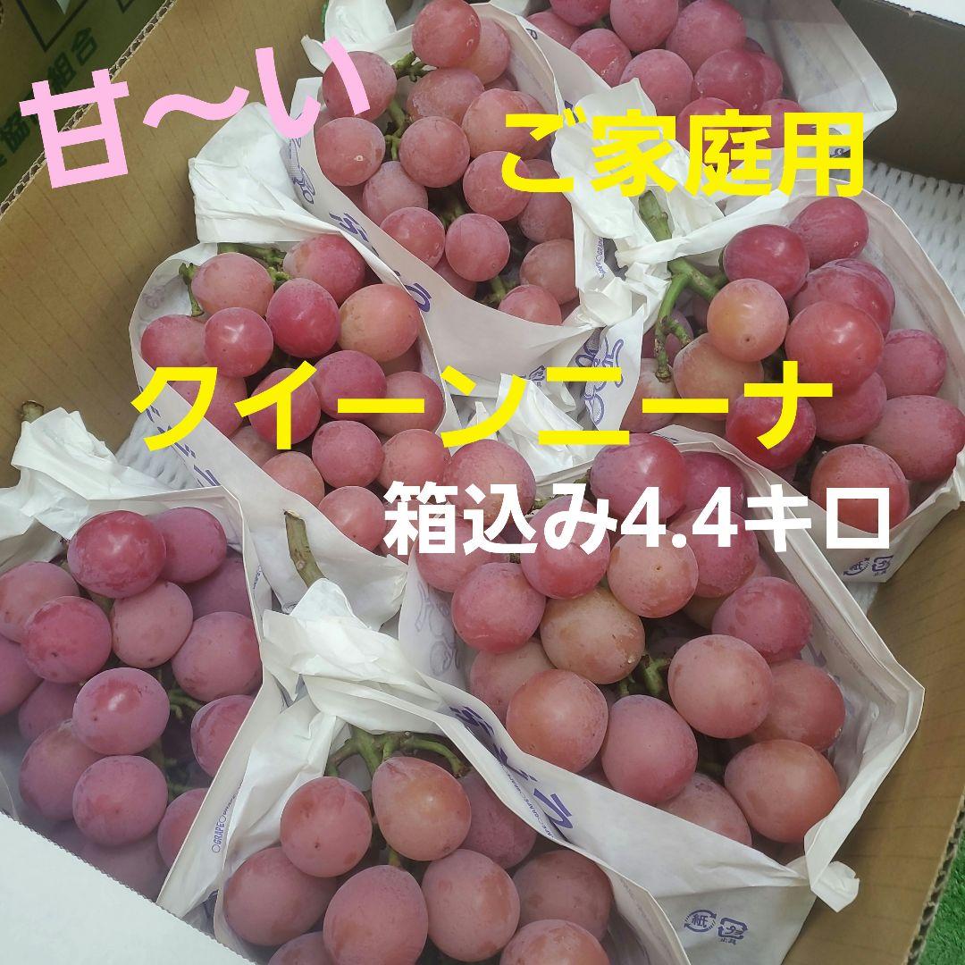 1⃣ 山梨県産 クイーンニーナ ７房入り 箱込み4.3キロ