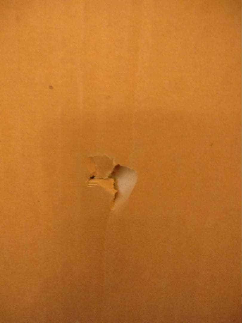 Bernard Cathelinリトグラフの版画作品