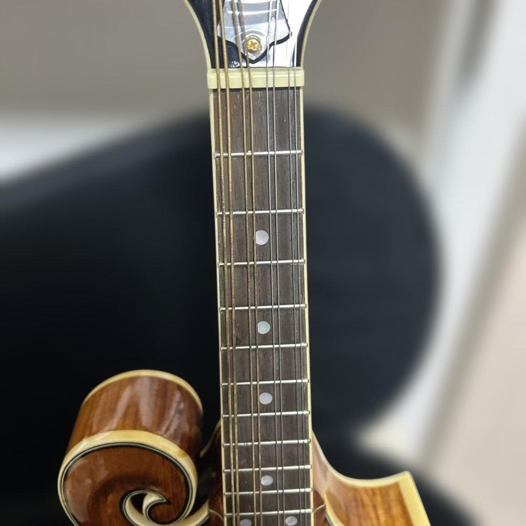 Rally ラリー マンドリン セミハードケース付き