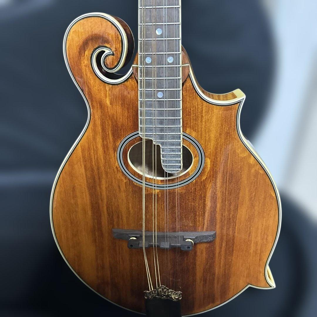 Rally ラリー マンドリン セミハードケース付き