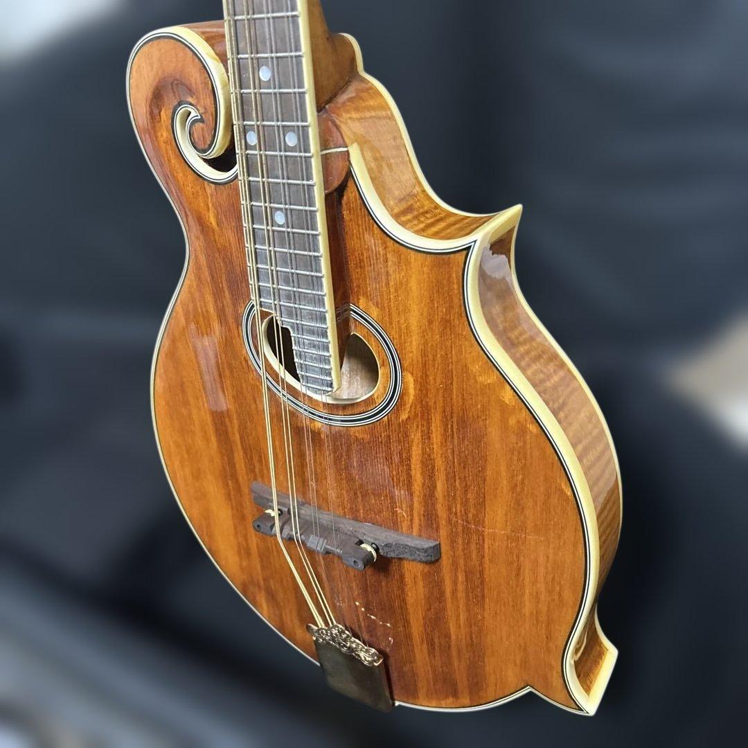 Rally ラリー マンドリン セミハードケース付き