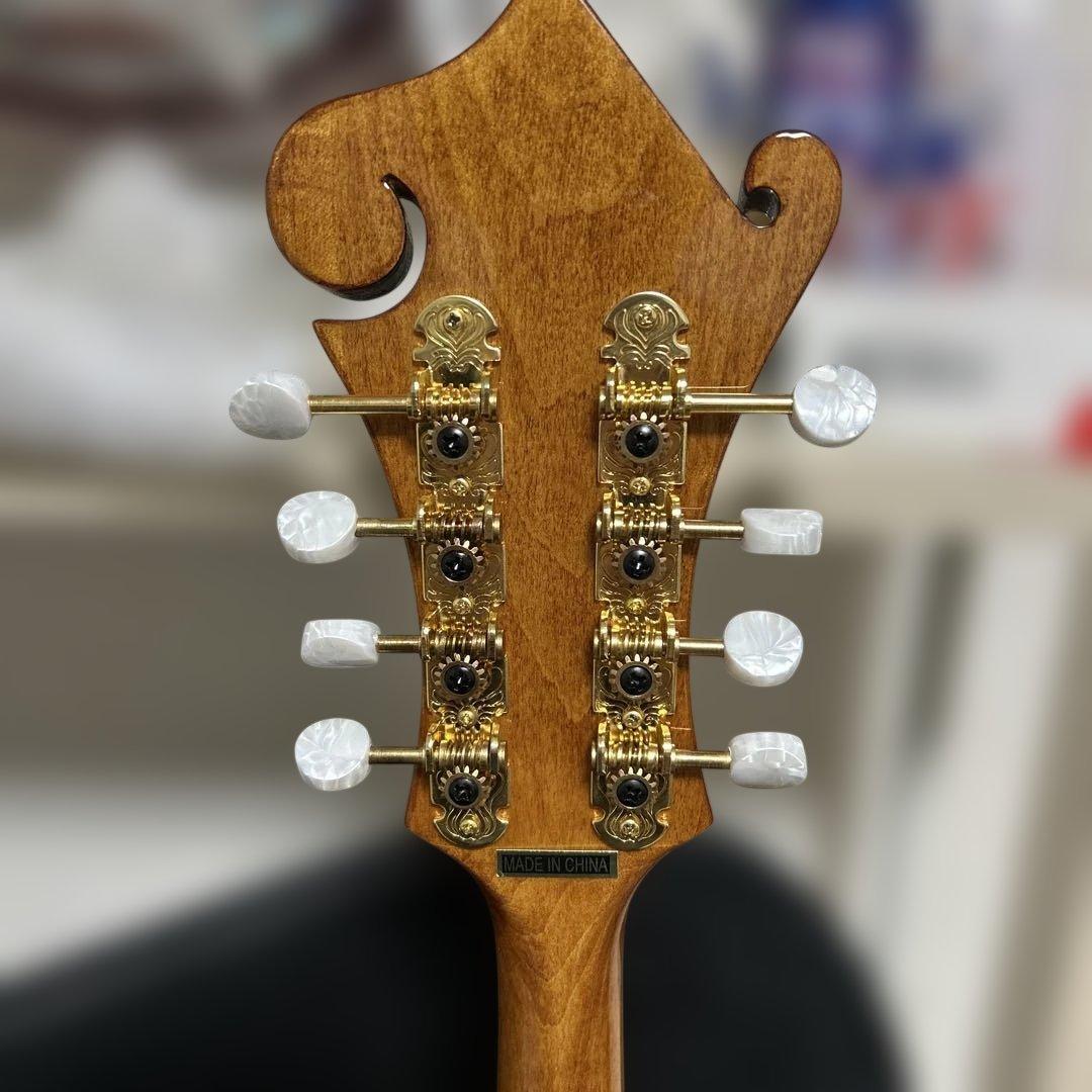 Rally ラリー マンドリン セミハードケース付き