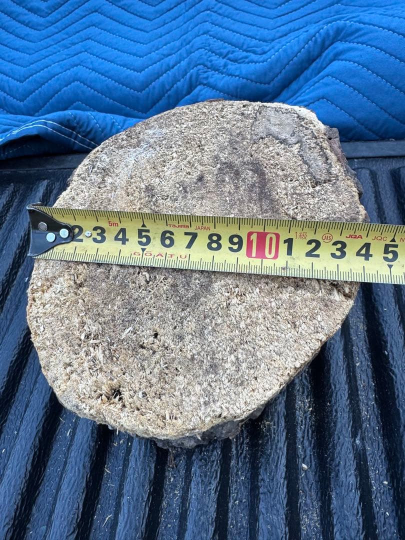 ベトナム材　VN材　13cm×15cm 産卵木