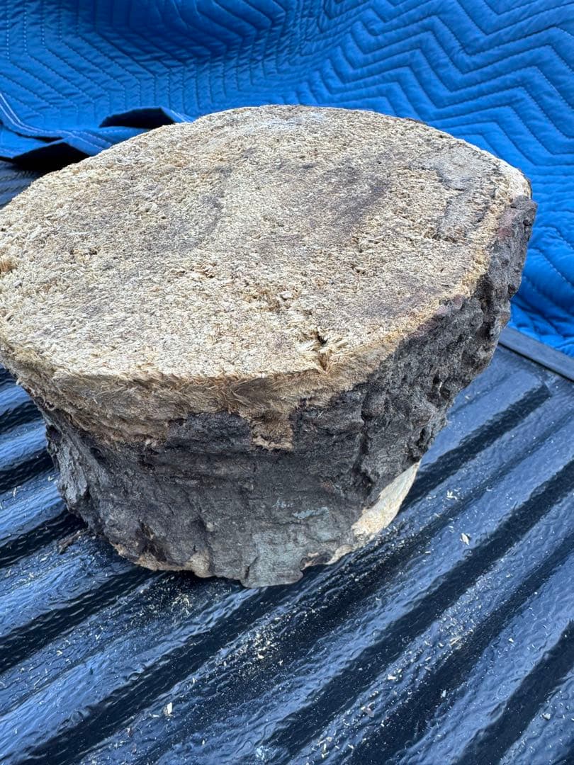 ベトナム材　VN材　13cm×15cm 産卵木